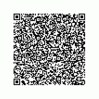vCard 78435500387