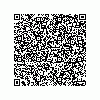 vCard 78435500399