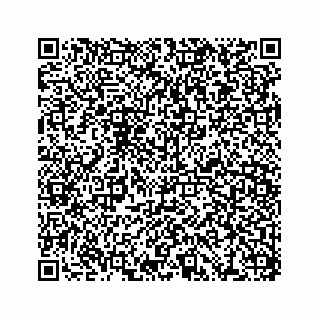 vCard 78437138887