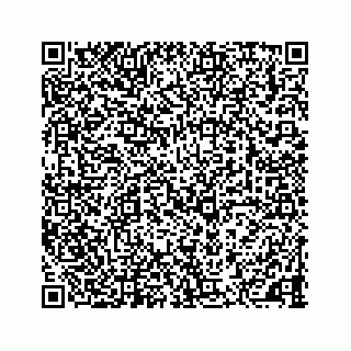 vCard 78437920273