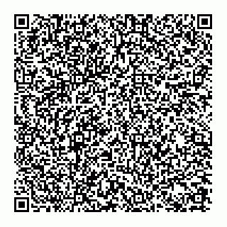 vCard 78443341313