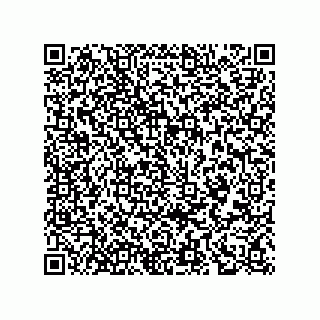 vCard 78445268131