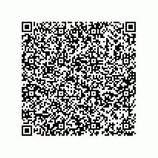 vCard 78445268381