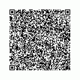 vCard 78445371039