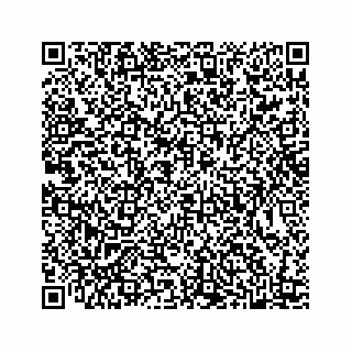 vCard 78445379038