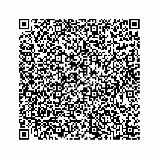 vCard 78445379131