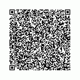 vCard 78445379288