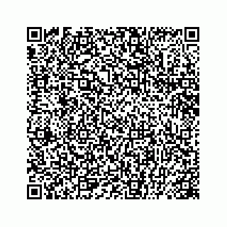 vCard 78445379300