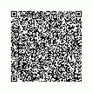 vCard 78445379303