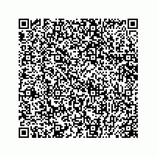 vCard 78445379400