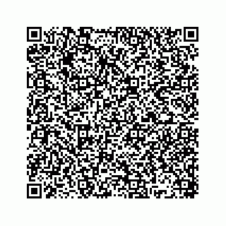 vCard 78445379403