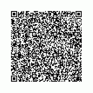 vCard 78445379404