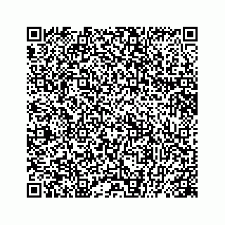vCard 78445379407