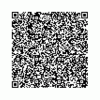 vCard 78445379409
