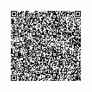 vCard 78445379411
