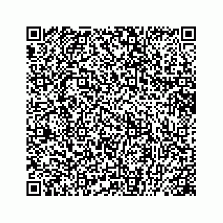 vCard 78445379423