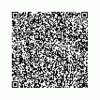 vCard 78445379471