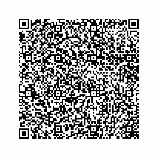 vCard 78445379489