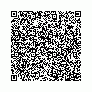 vCard 78445379500