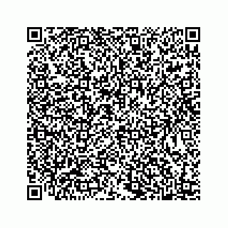 vCard 78445379501