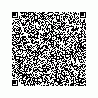 vCard 78445379503
