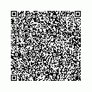 vCard 78445379504