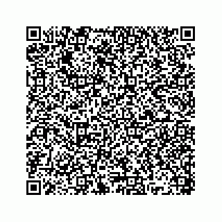 vCard 78445379509