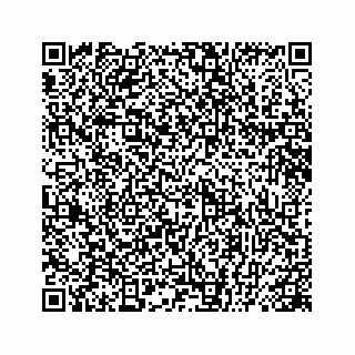 vCard 78445379511