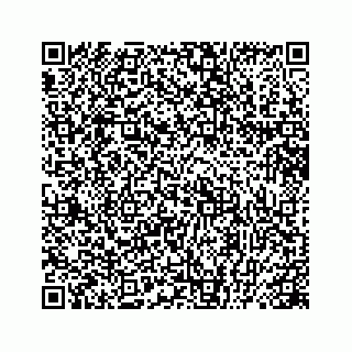 vCard 78445379513