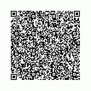 vCard 78445379519