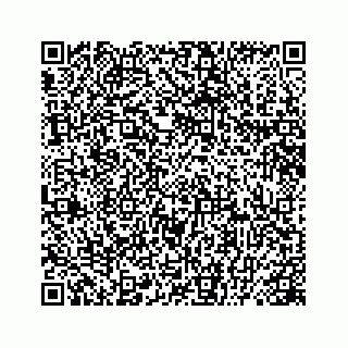 vCard 78445379521