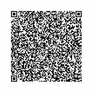 vCard 78445379533