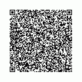 vCard 78445379539