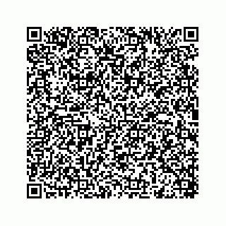 vCard 78445540378
