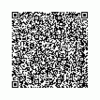 vCard 78445774131
