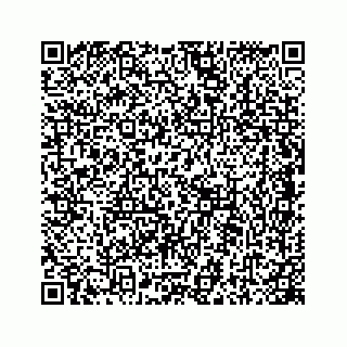 vCard 78445774263