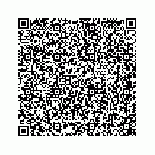 vCard 78445777163