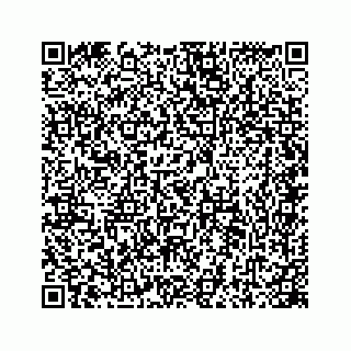 vCard 78445777181