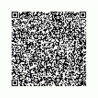 vCard 78445777199