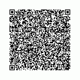 vCard 78445790131
