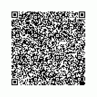 vCard 78446263739