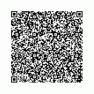 vCard 78446441113