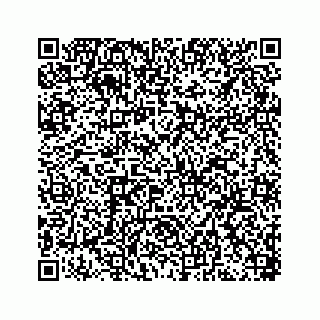 vCard 78446441300