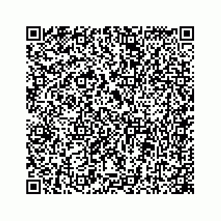 vCard 78446759488