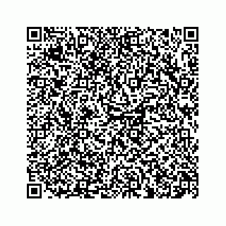 vCard 78447398385