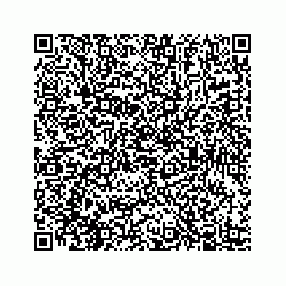 vCard 78447399313