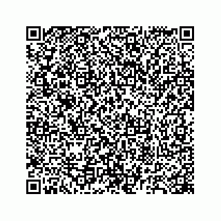 vCard 78447399400