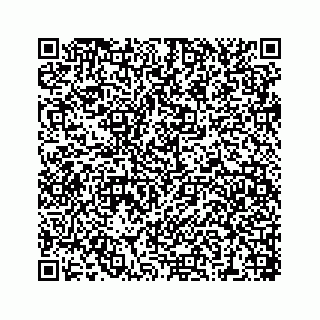 vCard 78447399488