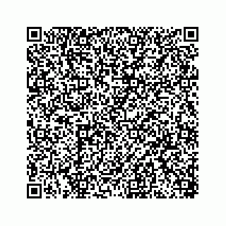 vCard 78449341003