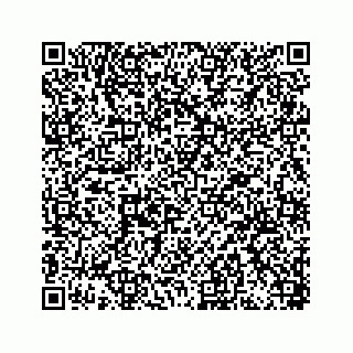 vCard 78449341109